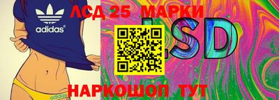 гидра Краснодар