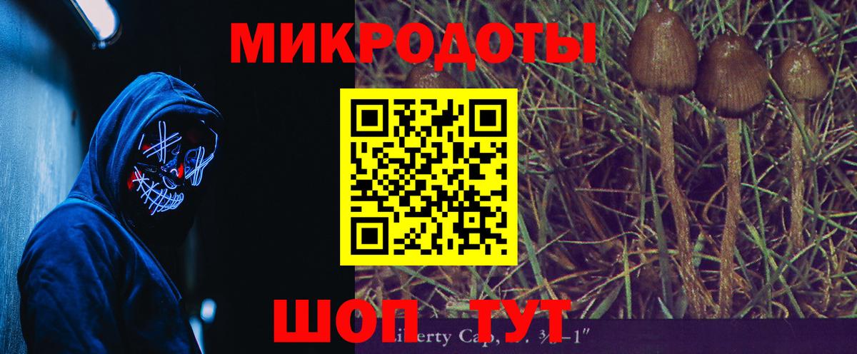 Псилоцибиновые грибы MAGIC MUSHROOMS  Вход с VPN  Долгопрудный 